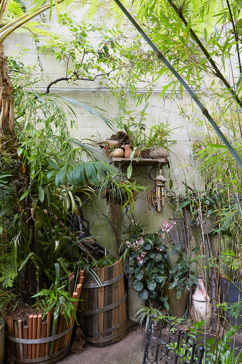 Hidden Urban Paradise: Jim Kumiega's Garden — Flora Grubb Gardens
